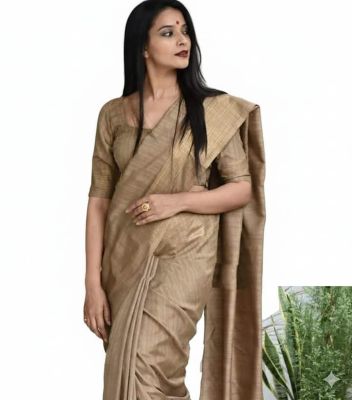 Biscuit Brown Pure handloom Bapta Tussar Silk saree from bengal