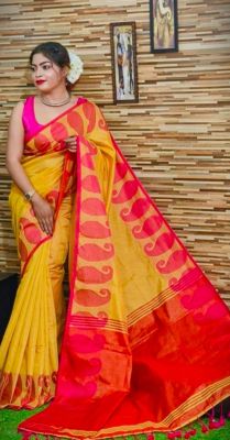 Multi Colour Pure Handloom Tissue Silk Saree From Bengal