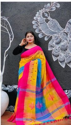 Multi Colour Pure Handloom Ikkat Saree From Bengal
