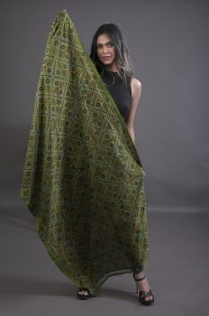 Aqua Green Pure Handloom Katha Stitch Dupatta From Bengal