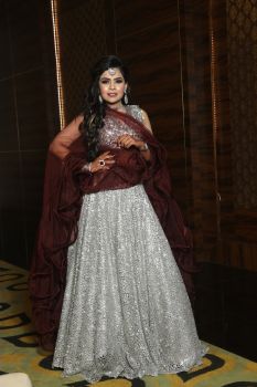 Front Cross Panelled Crop Top With Skirt And Ruffled Dupatta
