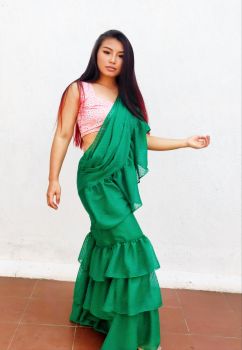 Fusion Saree