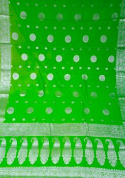 Lime Green Georgette Silver Design From Banarasi