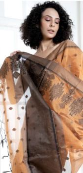Persian Orange Cotton Mercerise Booti Saree From Banarasi