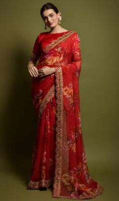 Red Pure Handloom Georgette Saree From Banaras