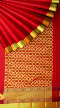 snuff color Kanchipuram silk saree with equal zari border