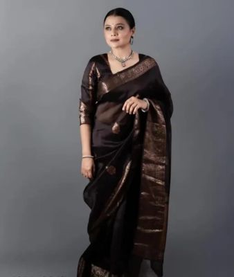 Black Pure Handloom Silk Cotton Saree From Banaras