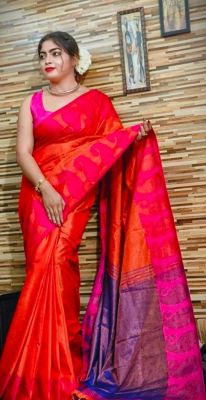 Multi Colour Pure Handloom Tissue Silk Saree From Bengal