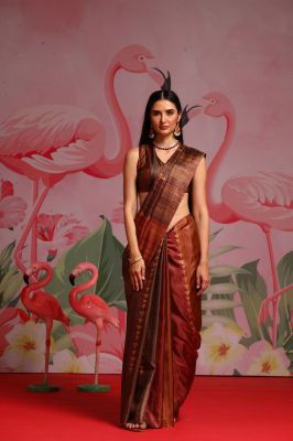 Tan Party Wear Silk Saree
