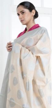 Light Grey Cotton Mercerise Patta Border Saree From Banarasi