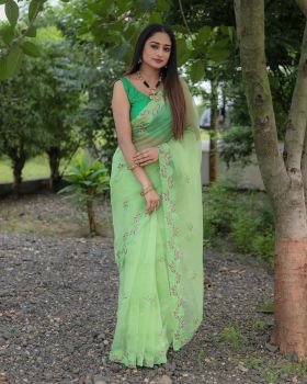 Pista Green Flower Embroidery Work Organza Saree