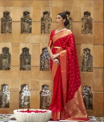 Red Pure Handloom Banarasi Silk Saree From Banaras