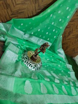 Mint Green Georgette Saree From Banaras