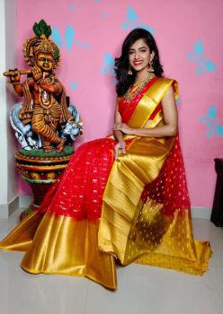 Dark Red Kora Organza Silk Butti Saree From Banaras