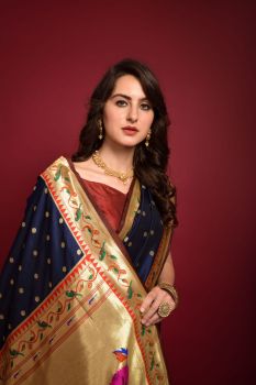 Navy Blue Meenakari Zari Work Banarasi Soft Silk Pathani Saree