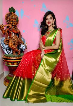 Ruby Red Kora Organza Silk Butti Saree From Banaras