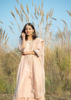 Pink chanderi neckpiece embroidery suit