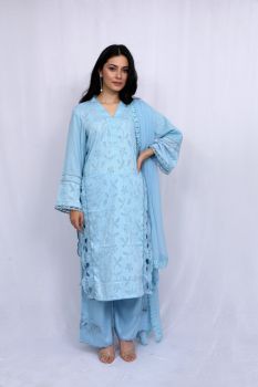 Powder Blue Embroidered Self Panel Suit