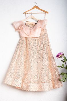Salmon Pink Gota Patti Lehenga With Soft Ruffle Blouse
