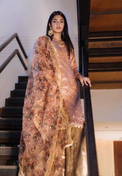Rose Gold Tissue Sharara Set
