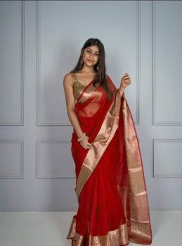 Red Plain Body Pure Handloom Organza Saree