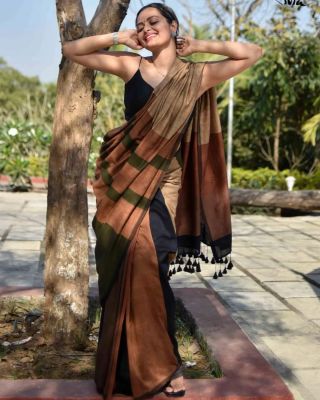Multi Colour Pure Handloom Cotton Saree From Bengal