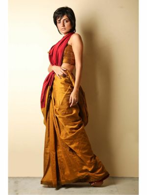 Golden Pure Handloom Cotton Saree From Bengal