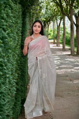 Silver Motif Tissue Linen Pure Handloom Saree From Bhagalpur