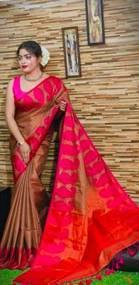 Multi Colour Pure Handloom Tissue Silk Saree From Bengal