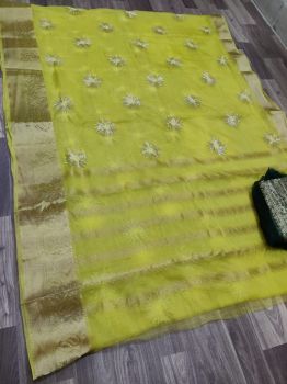 Pista Green Sequence Work Pure Organza With Zari Pallu And Border.