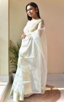 Cloudy Blue Party Wise Organza Saree From Bengal
