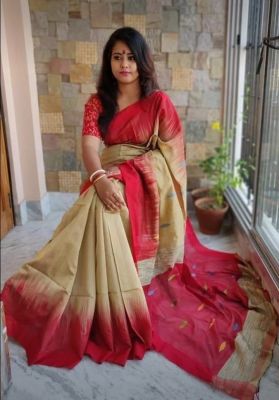 Multi Colour Pure Handloom Ikkat Saree From Bengal