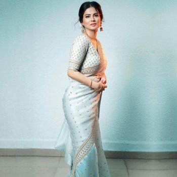 Sky Blue Buttie Embroidery Sequence Work Organza Saree
