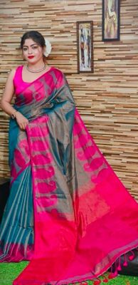 Multi Colour Pure Handloom Tissue Silk Saree From Bengal