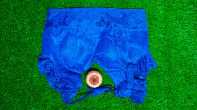 Blue Net Hakuba Silk Cotton Pad Readymade Blouse
