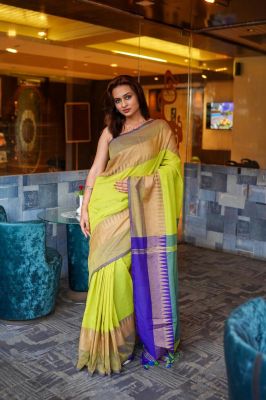 Multi Colour Pure Handloom Cotton Saree From Bengal