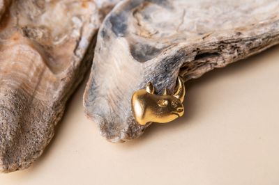 Salores (Rhino) Brooch