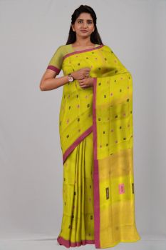Yellow Box Silk & Cotton Handloom Saree